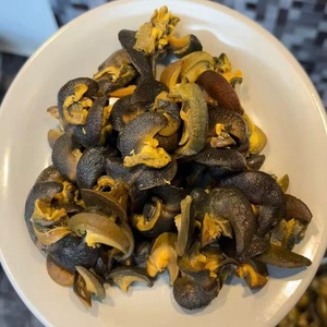 Buy Wholesale Fresh Frozen Snail Meat Premium Quality African Land Snails Fast <b>Delivery</b> for Restaurants and Stores - Product Image 4