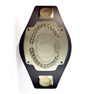 Ceinture de championnat de lutte de conception sur mesure Ceinture de lutte sublimée vierge fabriquée au Pakistan - Product Image 3