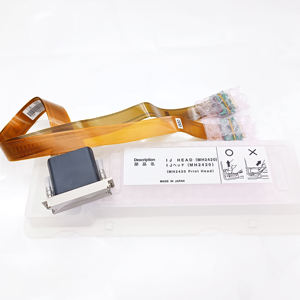New and Original <strong>Ricoh</strong> Gen4 Printhead for <strong>Ricoh</strong> UV Flatbed <strong>Printer</strong> - Product Image 4