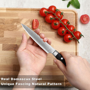 Cuchillo de Cocina Profesional de 5 Pulgadas, 67 Capas de Acero Damasco AUS-10, Cuchillo para Pelar y Cortar Frutas con Mango Azul G10 - Product Image 4