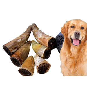 Cuerno de búfalo de calidad superior único para masticar perros \ cuerno de cordero fábrica India mejor calidad agua Natural cuerno de búfalo masticar perros - Product Image 4
