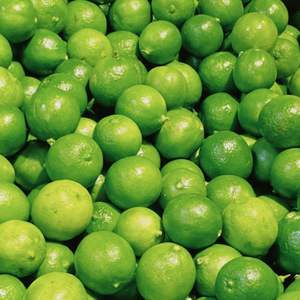 Limones Verdes Frescos Premium, Limones al por Mayor de Alta Calidad - Product Image 5