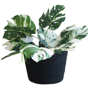 Meilleure vente d'étagère de jardinière en rotin naturel pour le salon Pots de fleurs et jardinières OEM Design personnalisé fait à la main au Vietnam - Product Image 2