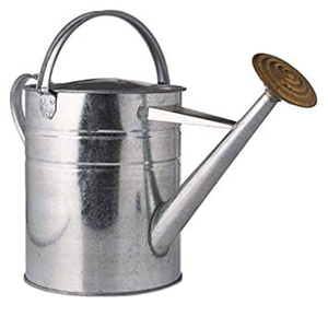 Arrosoir de jardin en métal Arrosoir en métal fini argenté Arrosoir d'extérieur en métal vintage - Product Image 3