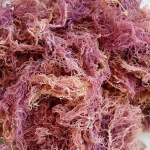Premium Purple Seamoss Vietnam Origin-Algas Rojas orgánicas para la industria de servicios de alimentos y aplicaciones al por mayor - Product Image 1