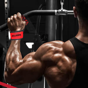 Nouvelle arrivée professionnelle sangles d'haltérophilie en gros sangles d'haltérophilie de haute qualité - Product Image 6