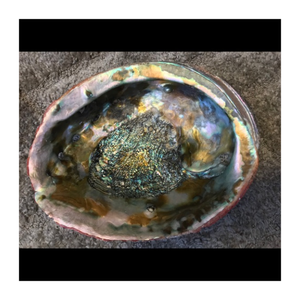 ไข่มุกเปลือกหอยเป๋าฮื้อธรรมชาติระดับพรีเมี่ยมสำหรับเครื่องประดับตกแต่งบนโต๊ะอาหารและแจกันขนาดเล็ก - Product Image 2