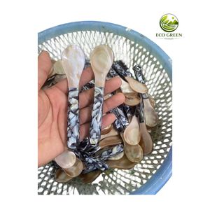 Cuchara de Nácar Personalizada Hecha a Mano con Mango de Resina de Concha, para Té, Café, Postre, Regalo Ecológico, Vajilla, Diseño Europeo OEM, 30 ml - Product Image 6