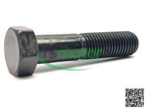 Repuesto de motor de alta calidad, piezas de fijación de alta precisión, perno hexagonal MWM - Product Image 4