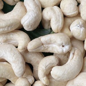 Anacardos de gran oferta en lata W180, calidad comercial, embalaje de etiqueta privada de fábrica de Santigo Vietnam disponible - Product Image 1