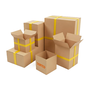 Boîtes de transport en carton ondulé imprimées sur mesure, fabriquées à partir de matériaux écologiques recyclés - Product Image 2