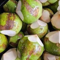 Verse jonge Thaise kokosvlees-sap – zoet en hydraterend voor smoothies, culinaire toepassing of rechtstreeks uit de bron consumptie.