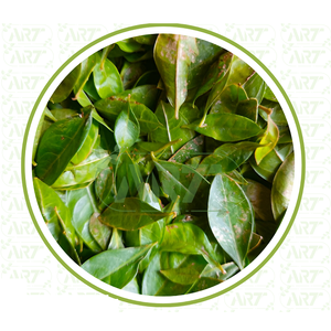 Lawsonia inermis ใบเฮนน่า mehendi patta meadi patte heena สมุนไพรดิบแห้งขายส่งพืชสกัดสมุนไพร - Product Image 4