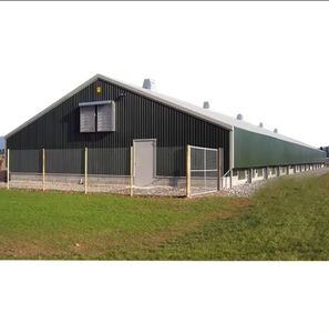 Poulailler en acier pour vaches à vendre grands hangars à foin à 3 côtés - Product Image 3