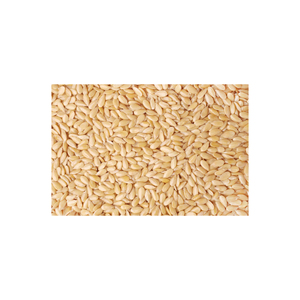 Graines de sésame blanches décortiquées de qualité supérieure |   100% Pur et Naturellement Séché |   Sans additifs, vente en gros en vrac, qualité d'exportation, longue durée de conservation, Inde - Product Image 1