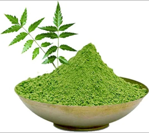 ผงสารสกัดจากใบสะเดาออร์แกนิกพืชเทียมสมุนไพรธรรมชาติบริสุทธิ์ - Product Image 2