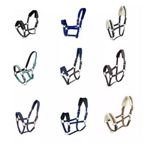 Licol de sport en PP pour sport de plein air, cheval, licou, avec rembourrage doux, 1 pièce, meilleure vente - Product Image 5