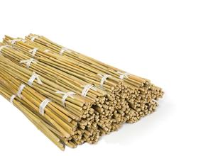 El mejor vendedor Palo de bambú recto para plantas de jardín Estacas de bambú de longitud personalizada de Eco2goVietnam - Product Image 5