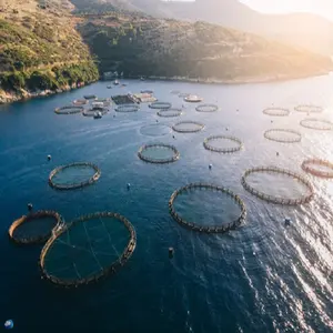 Gaiola de peixes flutuante, circular, de alta qualidade, gaiola de aquacultura, flutuante, gaiola de peixe, mar profundo, para venda