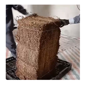 ใบเยลลี่หญ้าดำจากเวียดนาม - Product Image 1