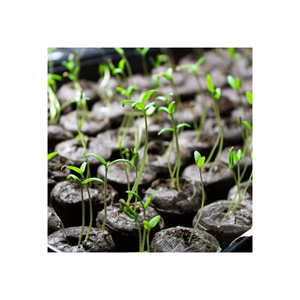 Pellets en filet de coco/Perles de coco bio biodégradables-Dosettes de graines de qualité supérieure - Product Image 2