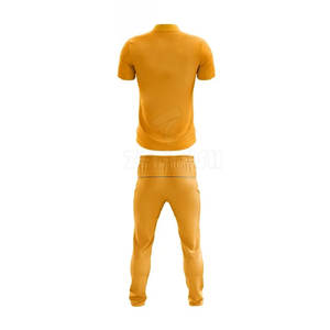 Diseño personalizado de alta calidad de secado rápido verano equipo Cricket uniformes con impresión de logotipo personalizado y servicio OEM Cricket Jersey - Product Image 3