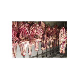 Carne de res halal congelada sin hueso a la venta a precios de mayorista, ideal para supermercados y carnicerías. - Product Image 1