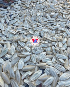 Hueso de Sepia Lavado Premium |   Nutrición para Aves de Compañía |   Empaque a Granel de 25 kg - Product Image 1