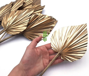 ใบปาล์มแห้งสีทองธรรมชาติ ใบไม้ประดับตกแต่งสำหรับเทศกาลอีสเตอร์ งานแต่งงาน ตกแต่งบ้าน ใช้งานภายในบ้านได้ยาวนาน - Product Image 1