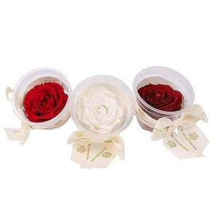 Mini Têtes de Roses Éternelles Naturelles – Lot de 4 Roses Préservées pour Cadeaux de Fête des Mères et de la Saint-Valentin - Product Image 1