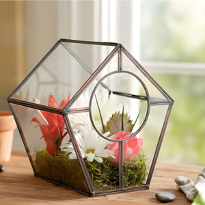 Terrarium en verre moderne de grande taille avec cadre en métal Vase de table en verre trempé pour plantes et décoration de maison de mariage - Product Image 6