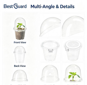 Bandeja de Plástico PET Transparente y Reciclable para Semillas, con Forma Personalizada, para Germinación Doméstica y Comercial - Product Image 2