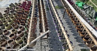 Vente en gros de paniers de Bolga en jonc de mer tissés à la main écologiques stockage tissé en paille pliante colorée de l'artisanat du Vietnam