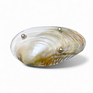 Plato de Concha de Nácar de Lujo para Decoración de Mesa Elegante, Plato para Postre y Decoración del Hogar de Vietnam - Product Image 3