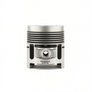 ชุดประกอบเครื่องยนต์มอเตอร์ไซค์ New Pinasco 260cc 4 จังหวะ ระบายความร้อนด้วยอากาศ 1 สูบ พร้อมชุดกระบอกสูบ ระบบสตาร์ทเท้า และระบบจุดระเบิด CDI - Product Image 2
