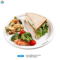 Assiette jetable biodégradable en bagasse de 9-10 pouces, 3 compartiments, haute qualité, pour service alimentaire, avec logo personnalisé, vente en gros