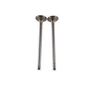 Soupapes d'admission FIAT Série Type (88>96) (88>95) VM1104 Essence 1.8 - Product Image 1