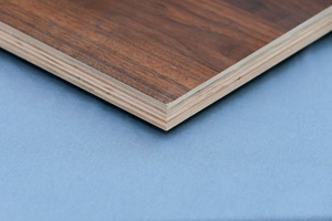 Precio al por mayor muebles de oficina modernos 9mm 18mm 1220x2440mm madera contrachapada de melamina marina con capa brillante para uso en apartamentos - Product Image 2