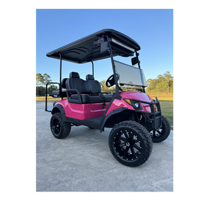 Voiturette de golf à essence entièrement équipée, type à essence, capacité 4 passagers - Product Image 1