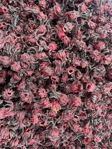 Fleurs d'hibiscus séchées de qualité export, roselle pour le thé, ingrédient et usage en boisson, Vietnam par 99 Gold Data - Mme Violet - Product Image 5