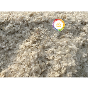 ÉCAILLES DE POISSON SÉCHÉES EN VRAC DE HAUTE QUALITÉ EN PROVENANCE DU VIETNAM POUR MATIÈRE PREMIÈRE ET UTILISATION À L'EXPORTATION - Product Image 1