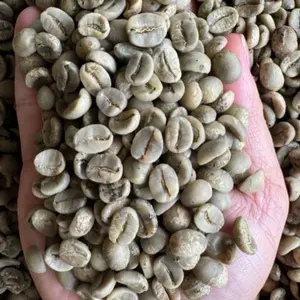 Высокое качество, Арабика, сырые зеленые кофейные зерна, происхождение из Вьетнама с кофеином, лидер продаж по конкурентоспособной цене, WS + 84196477392
