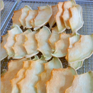 Meilleur fournisseur melon cantalouge séchage sous vide - Product Image 4