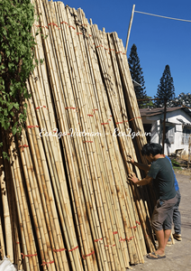 Tendance à chaud 2025!!! Eco2go Vietnam Bâtons de bambou/Bâtons de brochette de bambou/Bâtons de bambou pour plantes - Product Image 2