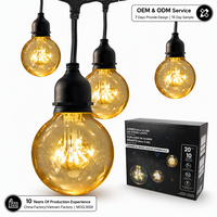 Guirlande lumineuse LED à piquet pour extérieur, fabriquée en Chine, kit de fixation au sol, utilisée pour Halloween, étanche IP65, blanc chaud