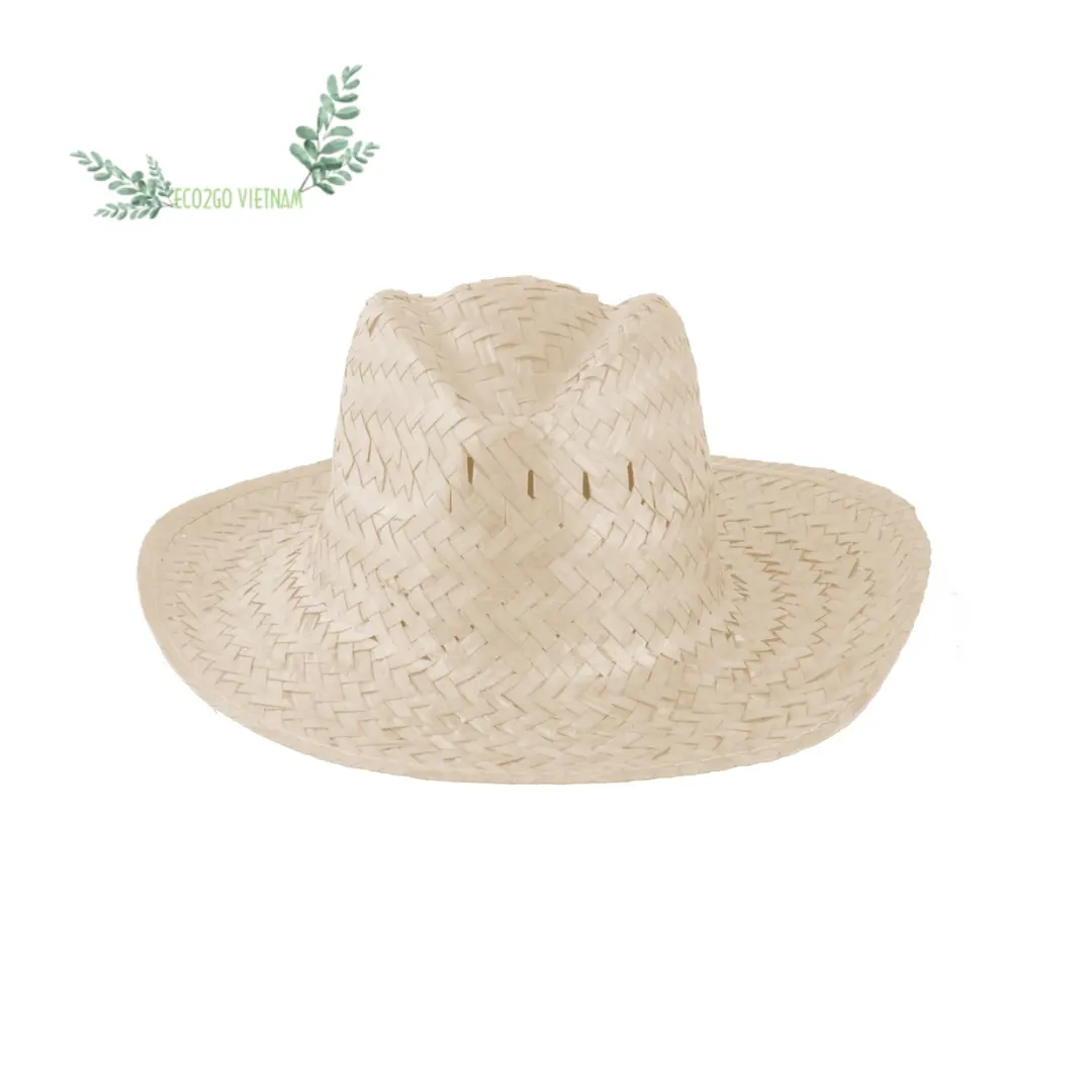 Natural Straw Beach Hat/Raffia straw hat/ Straw Hat Summer Women Wholesale Cheap Custom Wide Brim In Vietnam By Eco2go Vietnam