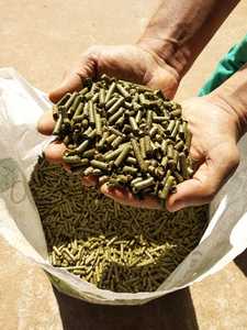 Pellets de heno de alfalfa de alta calidad a la venta, precio barato, alimento para animales a granel para caballos, vacas y otros animales de ganado - Product Image 3