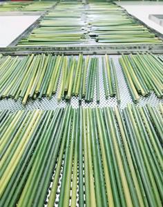 Bâtonnets de paille d'herbe séchée écologique 100% pailles d'herbe naturelle, biodégradables et sans plastique à vendre - Product Image 3