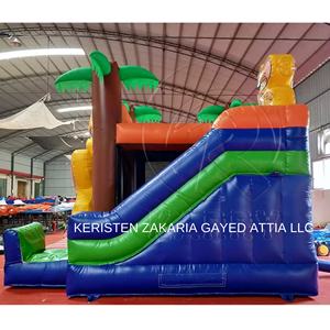Castillo Inflable Comercial con Temática de Dibujos Animados Europeos, Material de PVC Ecológico para Múltiples Pasajeros - Product Image 3