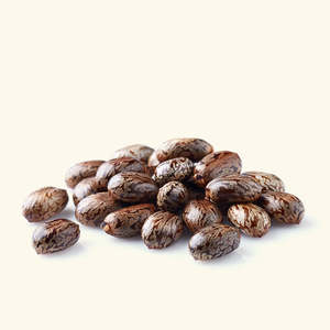 <span class=keywords><strong>Olio</strong></span> <span class=keywords><strong>di</strong></span> Ricino Nero Giamaicano <span class=keywords><strong>Biologico</strong></span> e Vegano Idratante e Levigante Infuso con Erbe e <span class=keywords><strong>Olio</strong></span> <span class=keywords><strong>di</strong></span> <span class=keywords><strong>Cocco</strong></span> - Product Image 2